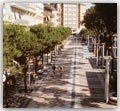 Il Centro di Cattolica