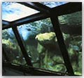 Il parco acquatico le Navi
