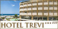 Hotel Trevi